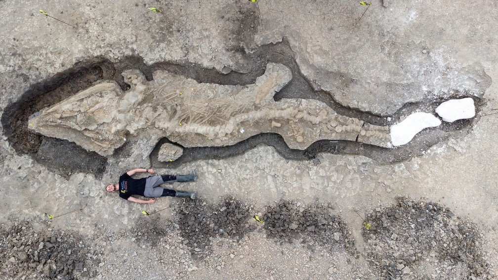 Imagens de drone revelam fóssil gigante de ‘dragão marinho’ descoberto no Reino Unido.