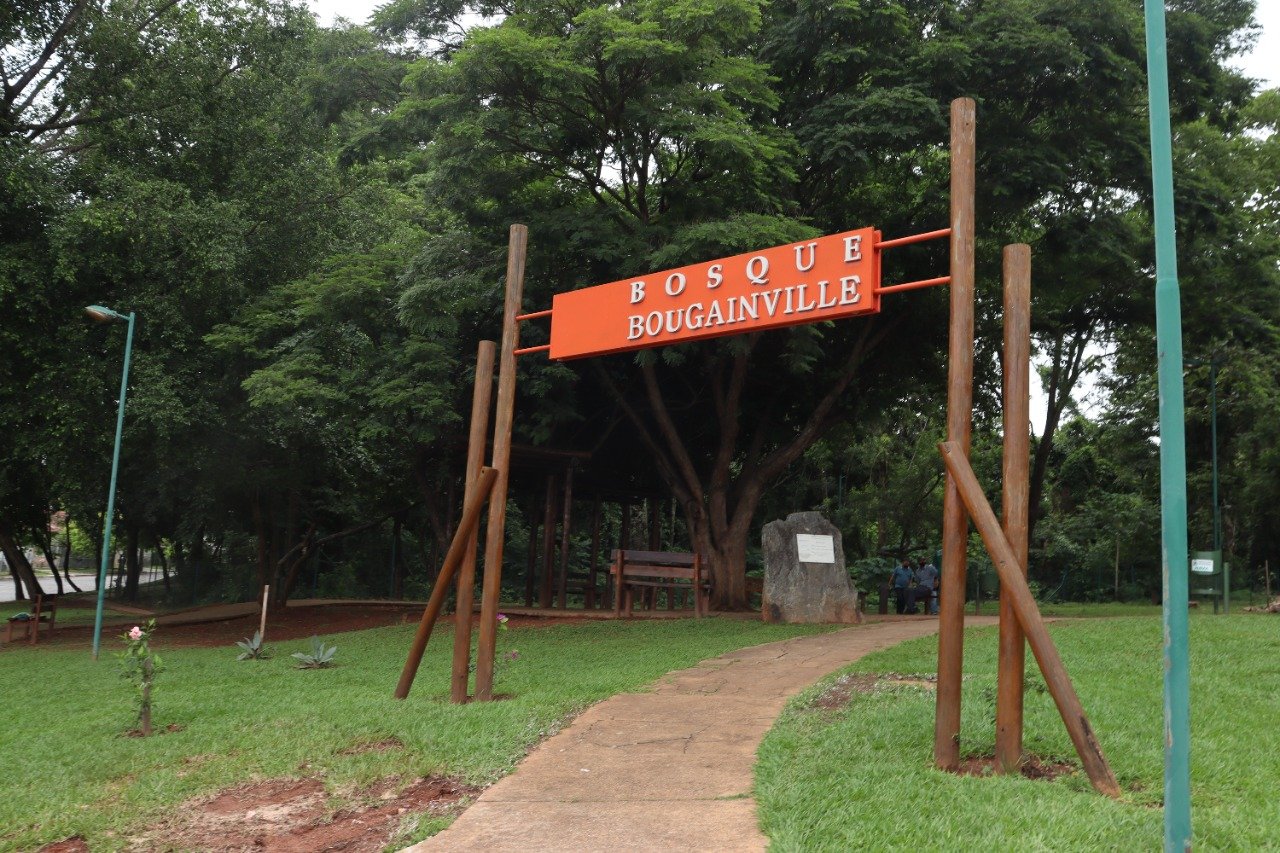 Prefeitura revitaliza sistema de iluminação do Bosque Bougainville