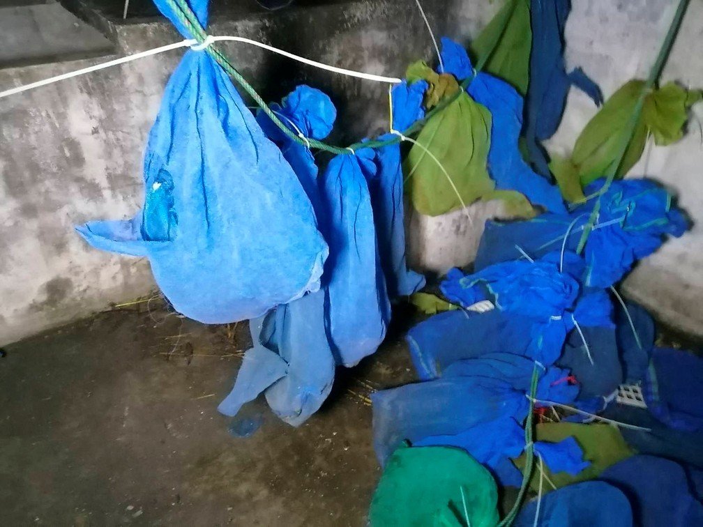 Autoridades da Tailândia encontram dezenas de macacos presos dentro de sacos em uma casa abandonada